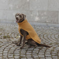 Bild in Galerie-Betrachter laden, Hundepullover