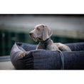 Bild in Galerie-Betrachter laden, Laboni ORTHO Hundebett - GLAM GRAPHITE