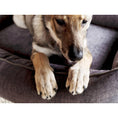 Bild in Galerie-Betrachter laden, Laboni ORTHO Hundebett - GLAM GRAPHITE