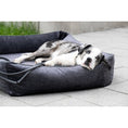 Bild in Galerie-Betrachter laden, Laboni ORTHO Hundebett - GLAM GRAPHITE