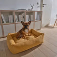 Bild in Galerie-Betrachter laden, LABONI ORTHO Hundebett - TUDOR