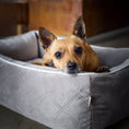 Bild in Galerie-Betrachter laden, ORTHO Hundebett - OXFORD