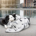 Bild in Galerie-Betrachter laden, Teckel Kuscheldecke Dackel