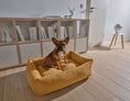 Bild in Galerie-Betrachter laden, Laboni CLASSIC Hundebett - TUDOR Gold