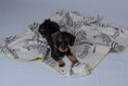 Bild in Galerie-Betrachter laden, THE ZEBRA PLAID von LUMIIES® (HUNDEKUSCHELDECKE)