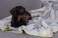 Bild in Galerie-Betrachter laden, THE ZEBRA PLAID von LUMIIES® (HUNDEKUSCHELDECKE)