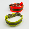 Bild in Galerie-Betrachter laden, THE CITY COLLAR (OUTDOOR) - NEON HUNDEHALSBAND WASSERDICHT
