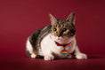 Bild in Galerie-Betrachter laden, memopet® Katzenhalsband mit NFC-Chip