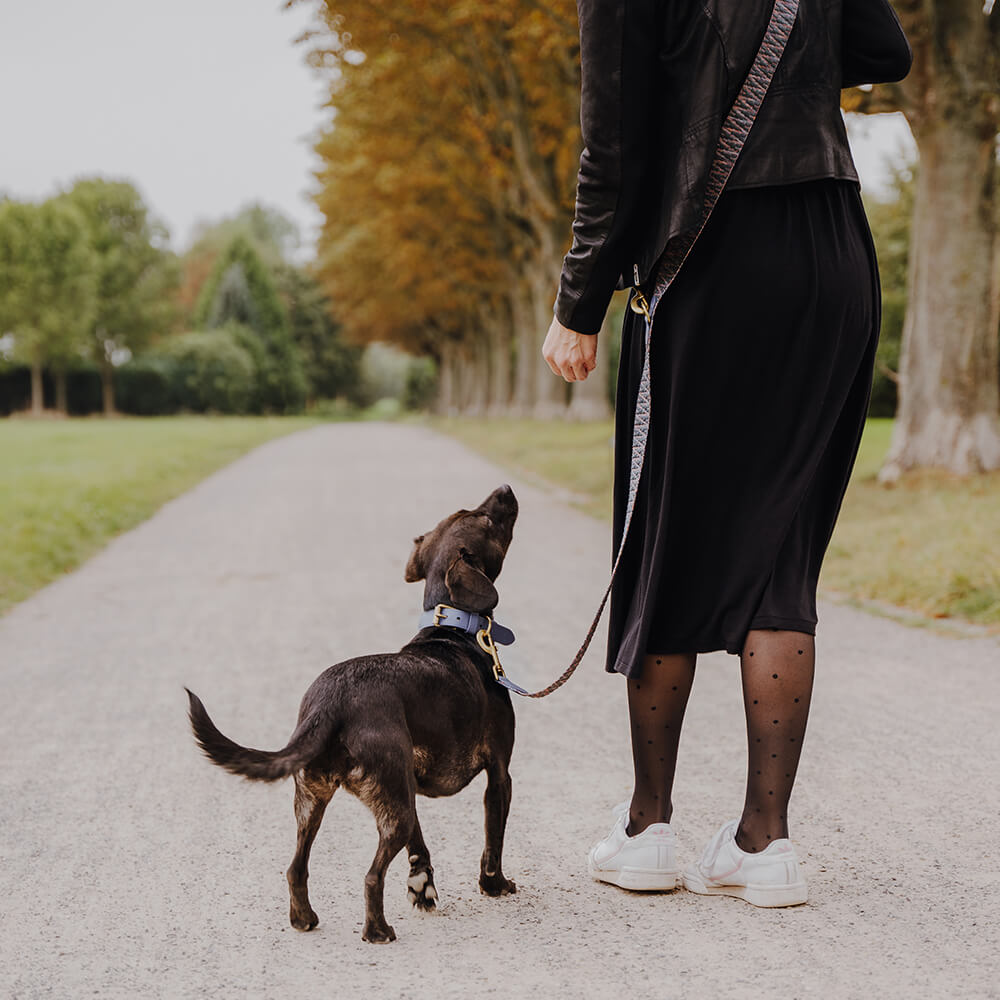 Premium Führleine - 3-fach verstellbar - 2m - Blau/Grau