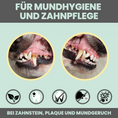 Bild in Galerie-Betrachter laden, Dentalspray bei Zahnstein für Hunde & Katzen