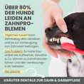 Bild in Galerie-Betrachter laden, Kräuter Dentals für Hunde zur Zahn- und Darmpflege