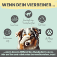 Bild in Galerie-Betrachter laden, Probio Belly Snacks für Hunde mit BIOTICS³-Komplex: Präbiotika, Probiotika & Postbiotika