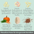 Bild in Galerie-Betrachter laden, Probio Belly Snacks für Hunde mit BIOTICS³-Komplex: Präbiotika, Probiotika & Postbiotika