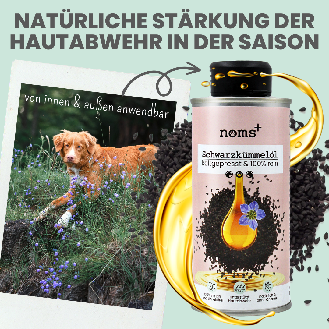Premium Schwarzkümmelöl für Hunde