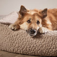 Bild in Galerie-Betrachter laden, ORTHO_Hundebett_-_BELLAGIO_von_Laboni_in_Grösse L