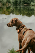 Bild in Galerie-Betrachter laden, ORBILOC DOG DUAL™