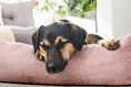 Bild in Galerie-Betrachter laden, Laboni CLASSIC Hundebett - TUDOR Rosé