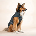 Bild in Galerie-Betrachter laden, Raincoat Pocket für Hunde "Oslo"
