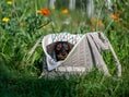 Bild in Galerie-Betrachter laden, THE SHEILA TRAVEL BED & BAG (MOBILES HUNDEBETT)