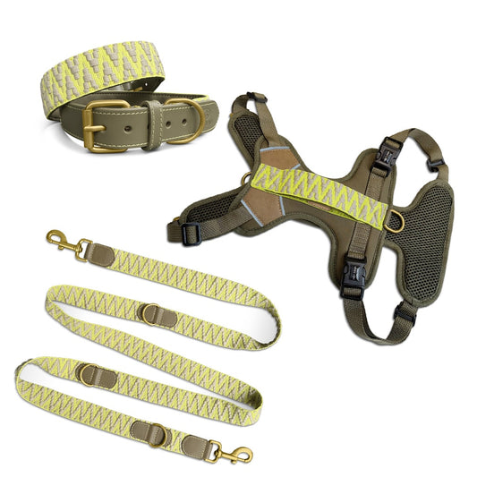 Kollektion Très chic – Set Hundehalsband, Leine und Geschirr – Olivgruen/Neongelb