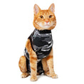 Bild in Galerie-Betrachter laden, RECOVERY SUIT® KATZE