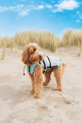 Bild in Galerie-Betrachter laden, DRY® COOLING VEST HUND