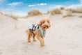 Bild in Galerie-Betrachter laden, DRY® COOLING VEST HUND