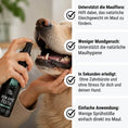 Bild in Galerie-Betrachter laden, Tales & Tails Bon AppéTeeth Zahnpflege-Spray für Hunde – 75 ml