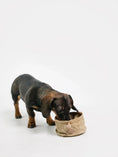 Bild in Galerie-Betrachter laden, Tragbarer Hundenapf | Pocket Bowl™