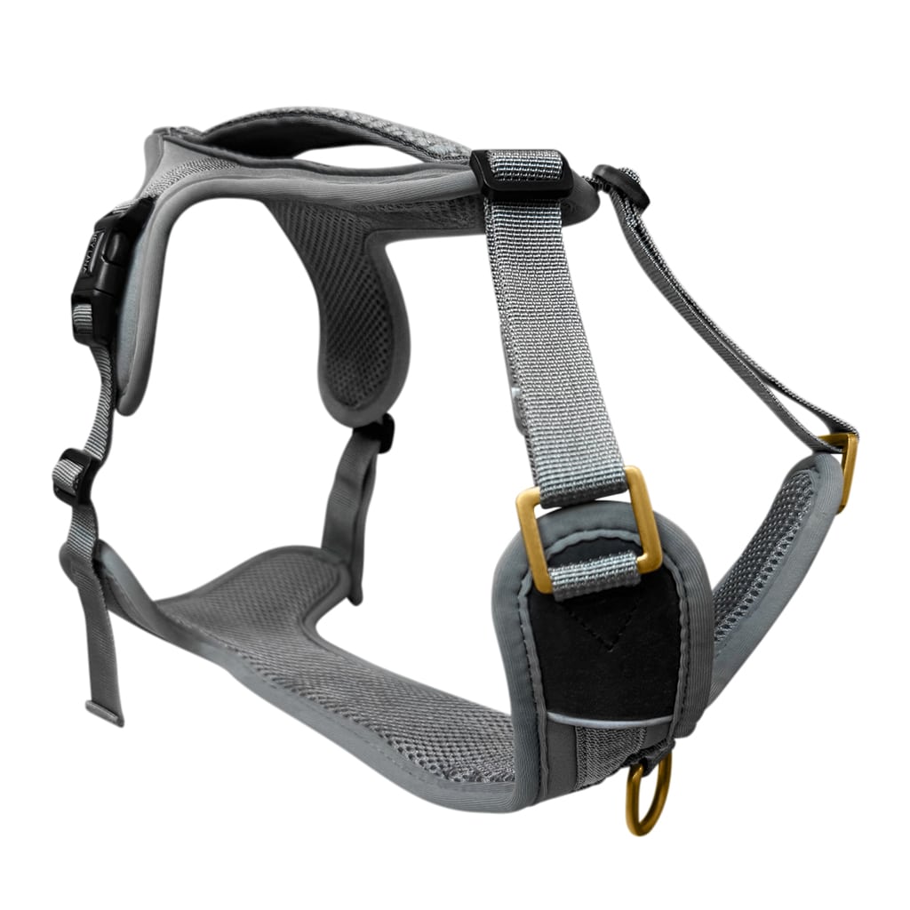 Premium Hundegeschirr Gepolstert – Anthrazit/Eisblau