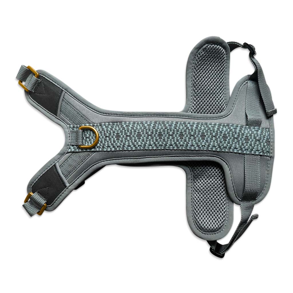 Premium Hundegeschirr Gepolstert – Anthrazit/Eisblau