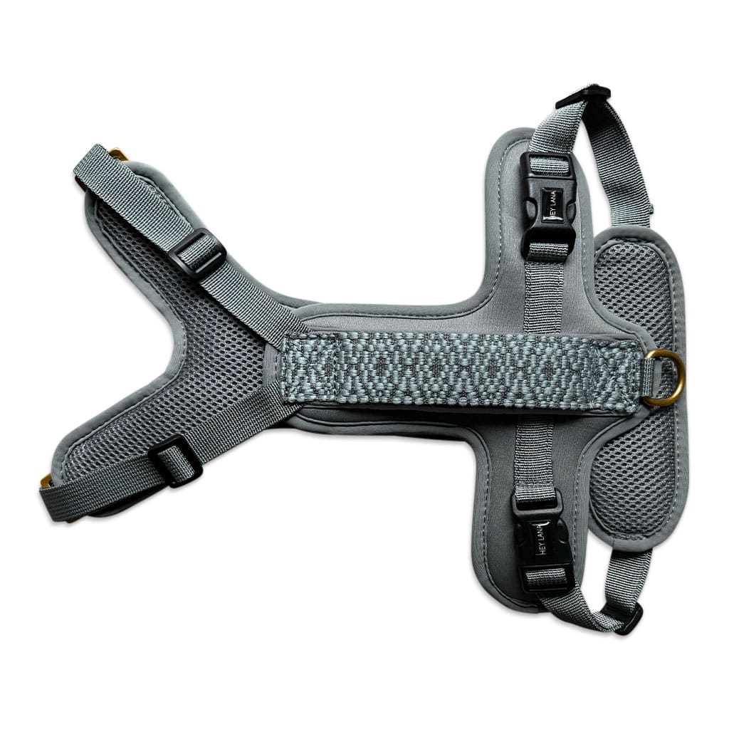 Premium Hundegeschirr Gepolstert – Anthrazit/Eisblau