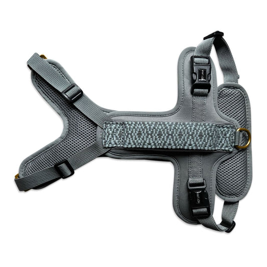 Premium Hundegeschirr Gepolstert – Anthrazit/Eisblau