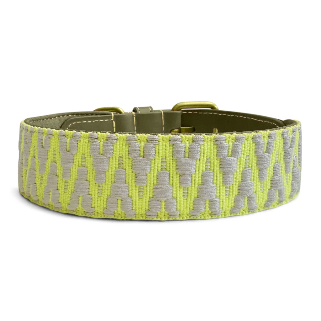 Premium Hundehalsband Gepolstert - Olivegruen/Neongelb
