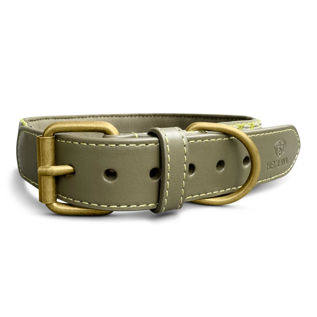 Premium Hundehalsband Gepolstert - Olivegruen/Neongelb