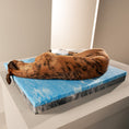 Bild in Galerie-Betrachter laden, Laboni ORTHO Hundebett - GLAM SAND