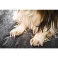 Bild in Galerie-Betrachter laden, Laboni CLASSIC Hundebett - TUDOR ANTHRAZIT