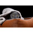 Bild in Galerie-Betrachter laden, Laboni CLASSIC Hundebett - BUFFALO CAMEL