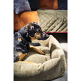 Bild in Galerie-Betrachter laden, Laboni CLASSIC Hundebett - TUDOR OLIVE