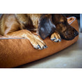 Bild in Galerie-Betrachter laden, Laboni CLASSIC Hundebett - BUFFALO CAMEL