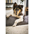 Bild in Galerie-Betrachter laden, Laboni CLASSIC Hundebett - TUDOR ANTHRAZIT