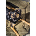 Bild in Galerie-Betrachter laden, Laboni CLASSIC Hundebett - TUDOR OLIVE