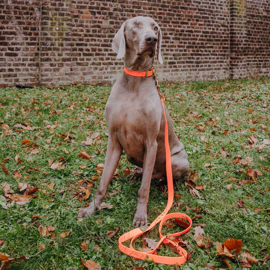 Führleine Outdoor FLEX - 3-fach verstellbar - Neon-Orange/Grün