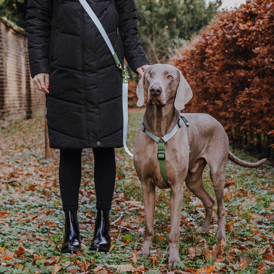 Führleine Outdoor FLEX - 3-fach verstellbar - Grau/Grün