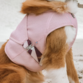 Bild in Galerie-Betrachter laden, Hurtta Cooling Wrap Kühlweste für Hunde