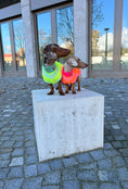 Bild in Galerie-Betrachter laden, THE GLOW JUMPER von LUMIIES® - HOCHELASTISCHER NEON HUNDEPULLOVER