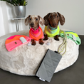 Bild in Galerie-Betrachter laden, THE GLOW JUMPER von LUMIIES® - HOCHELASTISCHER NEON HUNDEPULLOVER