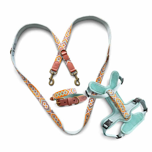 Kollektion Très chic – Set Hundehalsband, Leine und Geschirr – Mint/Orange