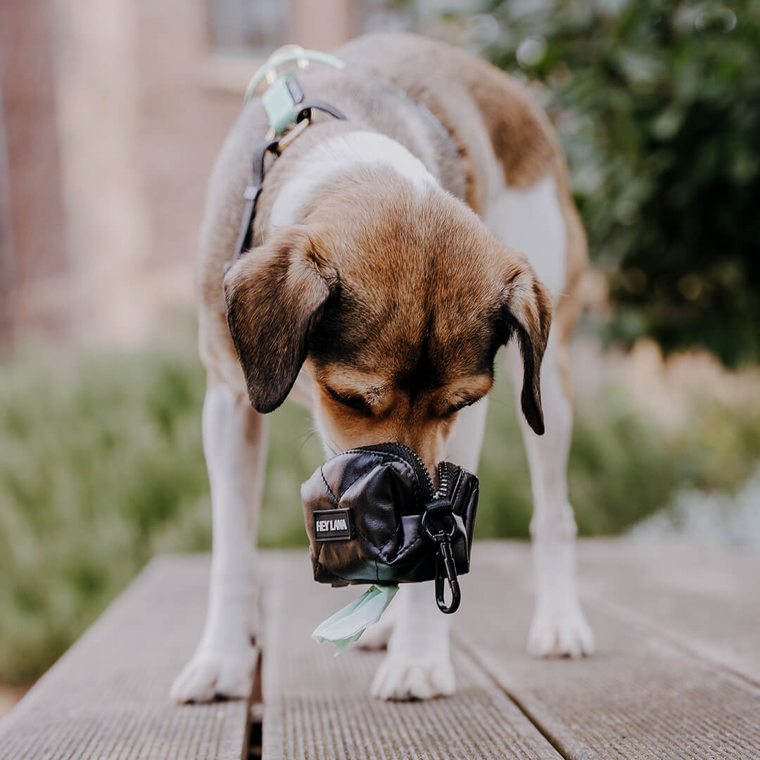 Kotbeutelspender - Schwarz - Heißer Scheiß