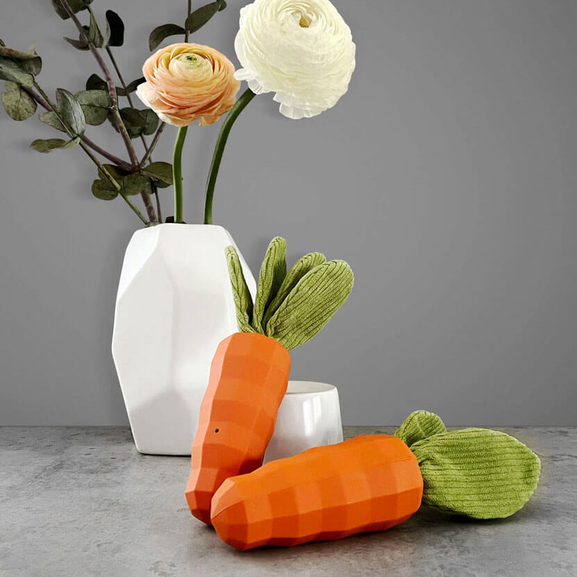 HUNDESPIELZEUG - CAROTTY